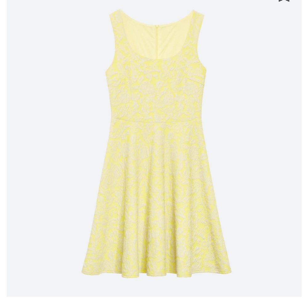 Brixon Ivy fit and flare dress NWT